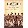 Black and Brown: African Americans and the Mexican Revolution, 1910-1920 (American History and Culture Series) by Gerald Horne