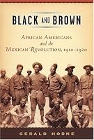 Black and Brown: African Americans and the Mexican Revolution, 1910-1920 (American History and Culture Series)