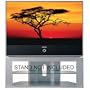 Samsung HLR 5677W 56-Inch HD-Ready Widescreen DLP TV