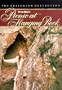 Picnic at Hanging Rock (The Criterion Collection)