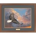 Majestic-Bald Eagle Framed Print By Jon Ren
