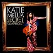 Secret Symphony