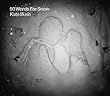 cover of Kate Bush - 50 Words for Snow