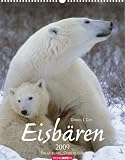 Eisb&auml;ren 2009 - Daniel J. Cox