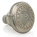 Waterpik NSC 629 Charleston 6-Mode Showerhead, Brushed Nickel