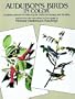 Audubon's Birds in Color for Decoupage