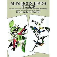 Audubon's Birds in Color: 24 Plates Printed One Side Only for Crafts, Decoupage and Framing