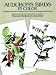 Audubon's Birds in Color for Decoupage