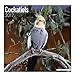 Cockatiels Calendar - Premium 2017 Wall calendars - Bird Calendars - Calendars 2016 - 2017 Wall Calendars - Monthly Wall Calendar by Avonside
