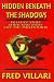 Books : Hidden Beneath the Shadows : Fighting for the Twenty-First Century