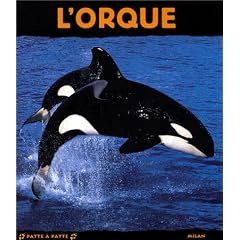 L'Orque