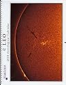 Leo 2010 Starlines Astrological Calendar