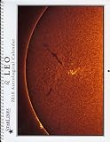 Leo 2010 Starlines Astrological Calendar