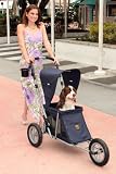 Kyjen Company Doggie Jogger