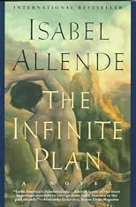 The Infinite Plan: A Novel