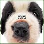 Artlist Collection the Dog 2005 Calendar St. Bernard Artlist Collection the Dog 2005 Calendar St. Bernard