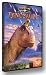 DVD : Dinosaur [Region 2]