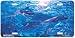 Togetherness - Dolphins - Wildlife Decor Art Print - License Plate Tag By Christian R...