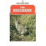 The redshank