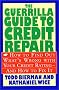 The Guerrilla Guide to Credit Repair: How to Find out What's Wrong with Your Credit Rating and How to Fix It