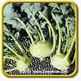 Kohlrabi Seeds - 'White Vienna' Vegetable Seed Packet (250 Seeds)