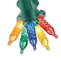 Philips LED Mini String Lights - Multicolor/ Green Wire