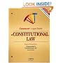 Constitutional Law: Keyed to Chemerinsky (Casenote Legal Briefs)