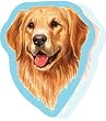 Golden Retriever Sticky Notes Notebook