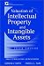 Book Valuation of Intellectual Property and Intangible Assets, 2002 Cumulative Supplement, 3rd Edition