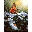 Resting Place Mini Jigsaw Puzzle 100 Piece