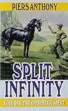 Split Infinity (The Apprentice Adept, Book 1)