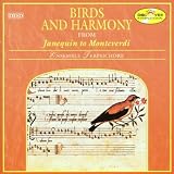 Birds & Harmony