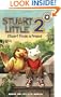 Stuart Little 2: Stuart Finds a Friend