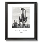 Ansel Adams B/W Photo Cactus Wall Picture Black Framed Art Print