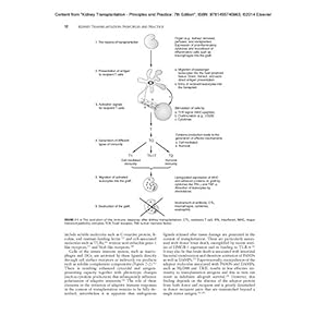 Kidney Transplantation - Principles and Practice: Expert Consult - Online and Print, 7e (Morris,Kidney Transplantation)