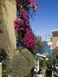 Assos, Kefalonia (Cephalonia), Ionian Islands, Greece Photographic Poster Print by R H Productions, 30x40