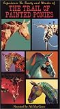 The Trail of Painted Ponies by Westland Giftware