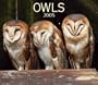 Owls 2005 (Calendar)