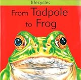 From tadpole to frog
