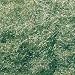Static Grass Flock Shaker, Medium Green/50 cu. in. Static Grass Flock Shaker, Medium Green/50 cu. in.