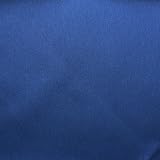 Pet Supplies : Blue Rear Seat Protector - 54x56