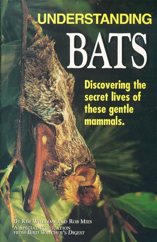 Understanding Bats