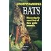 Understanding Bats