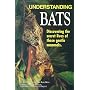 Understanding Bats
