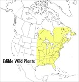 A Field Guide to Venomous Animals and Poisonous Plants: North America North of Mexico (Peterson Field Guides (R))