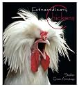 Extraordinary Chickens