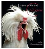 Extraordinary Chickens