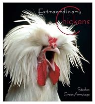 Extraordinary Chickens