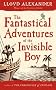 The Fantastical Adventures of the Invisible Boy