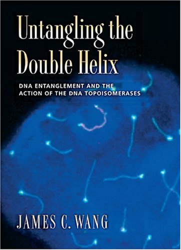 duplication of dna. the duplication of DNA was